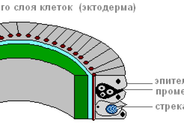 Кракен ссылка vtor