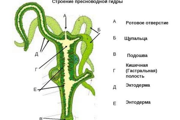 Зайти кракен через тор