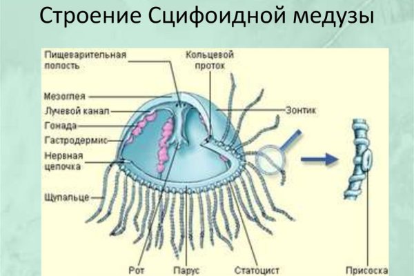 Ссылка на кракен в тор